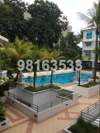 Palm Green (D5), Apartment #38587302